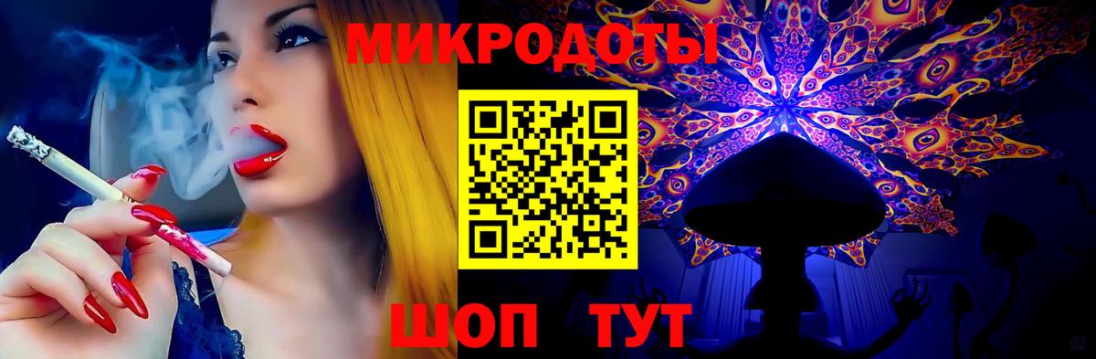 Псилоцибиновые грибы Psilocybine cubensis Сергиев Посад